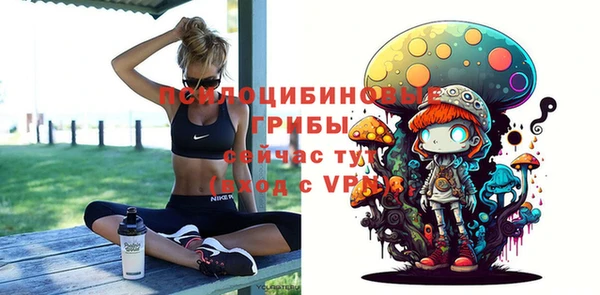 прущий лед Абаза