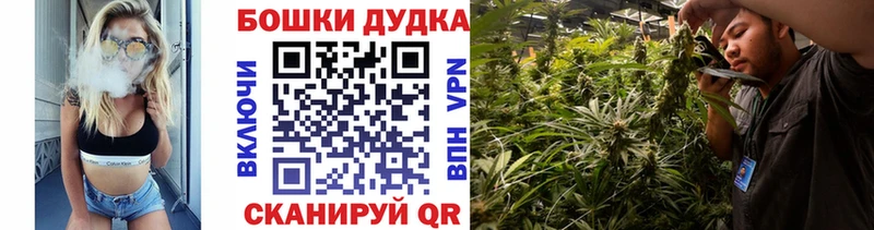цена наркотик  Александровск  Каннабис индика 